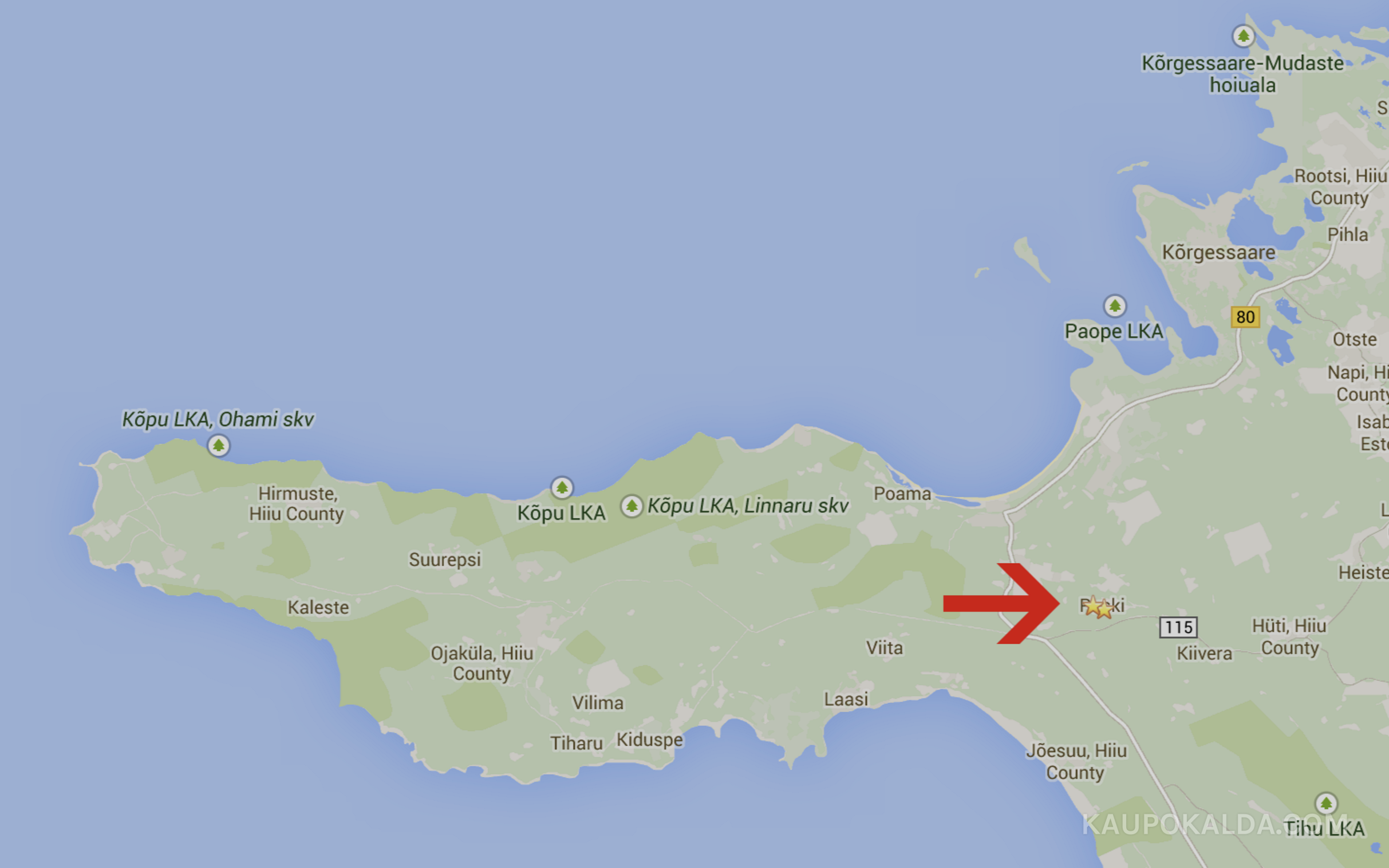 Üleskutse! Leiutasuga droonijaht Hiiumal