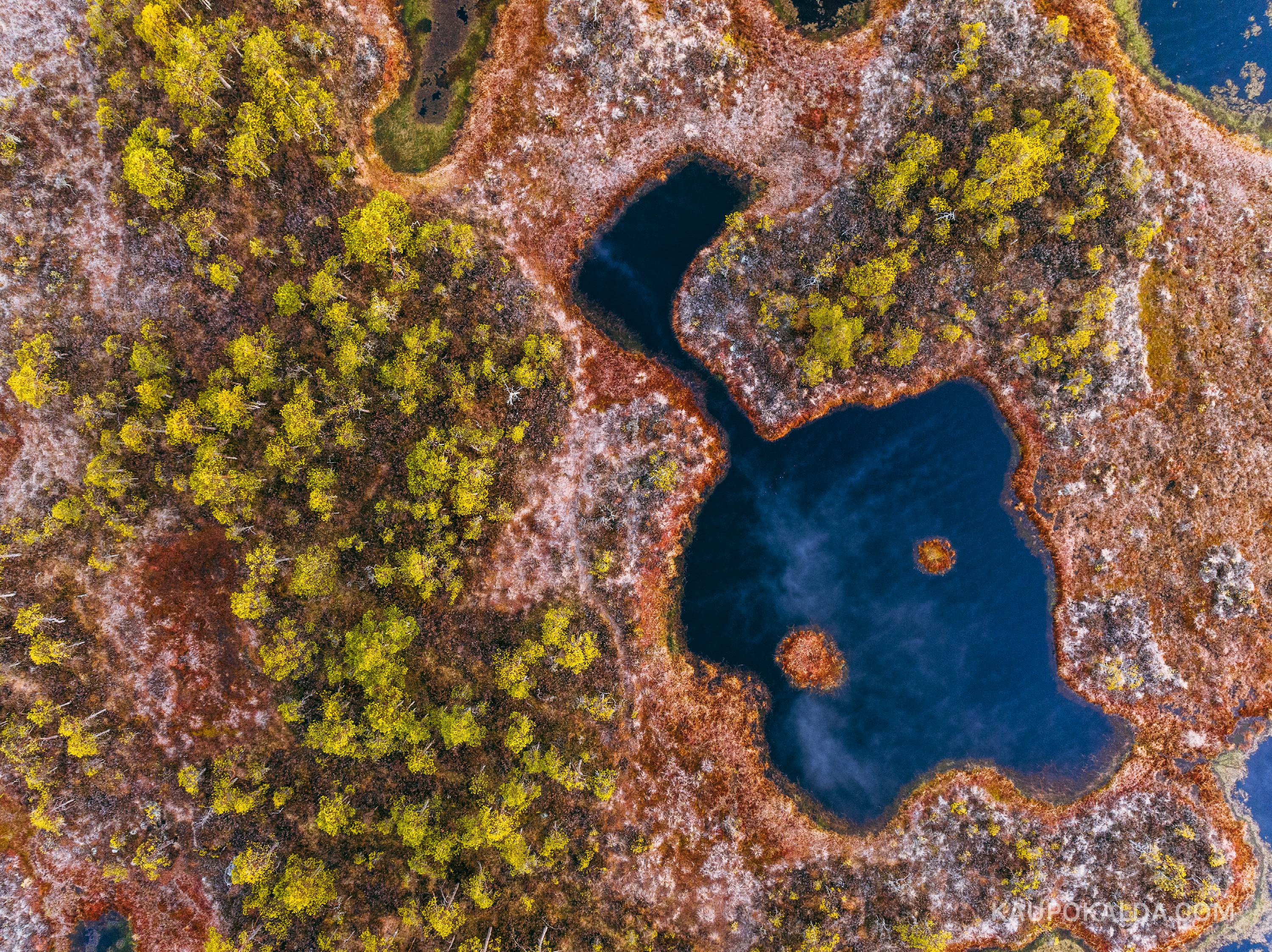 Kakerdaja raba sookoll