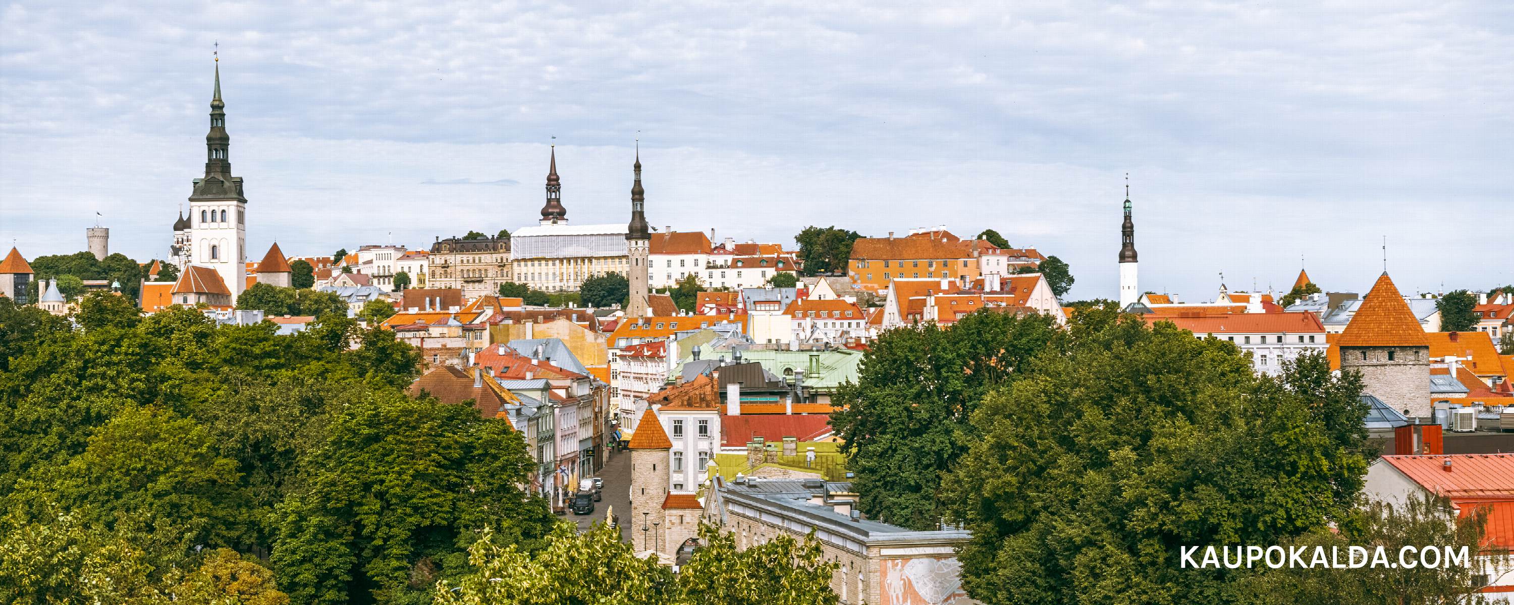 Vanalinna panoraam
