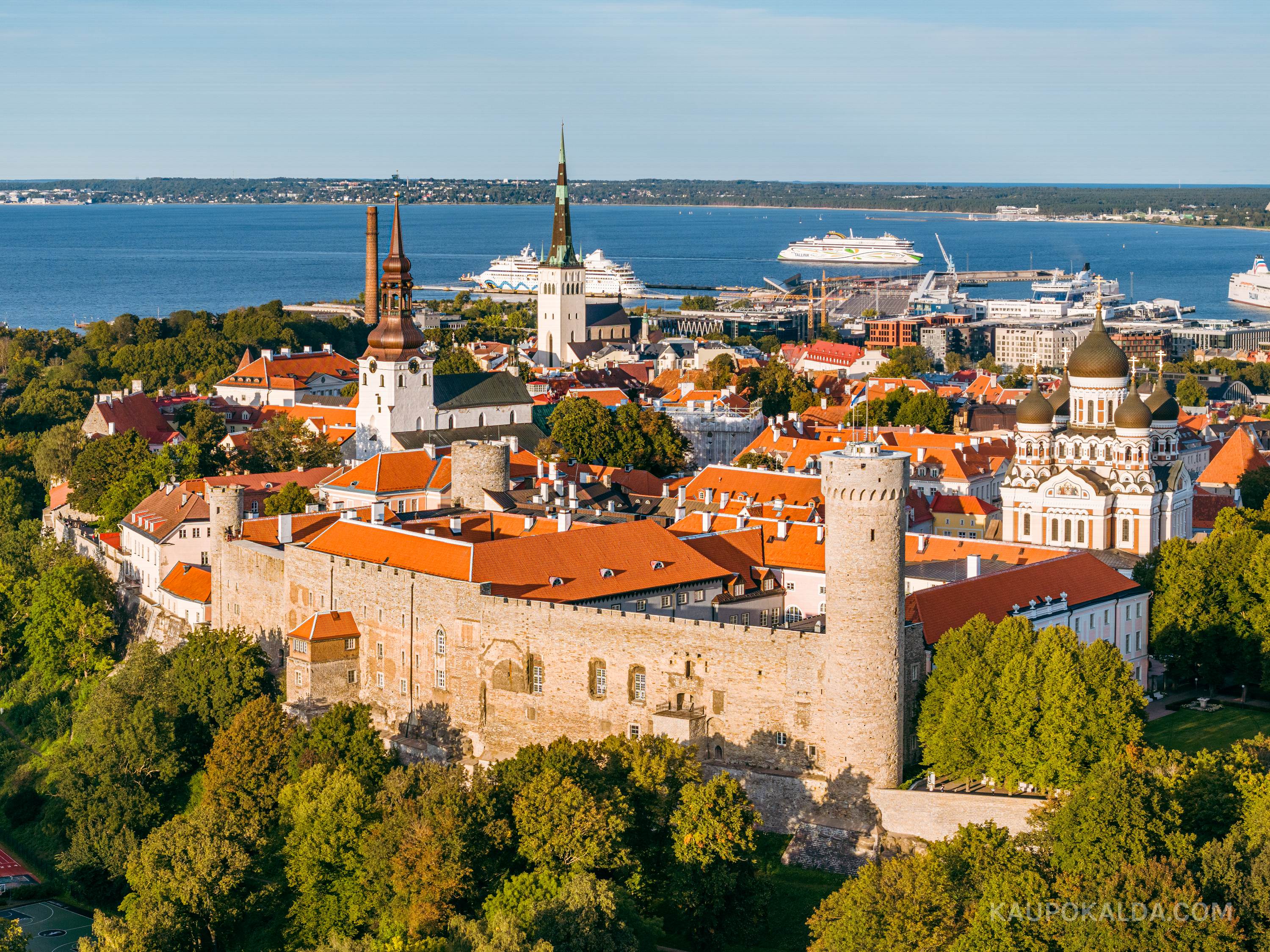 Toompea loss