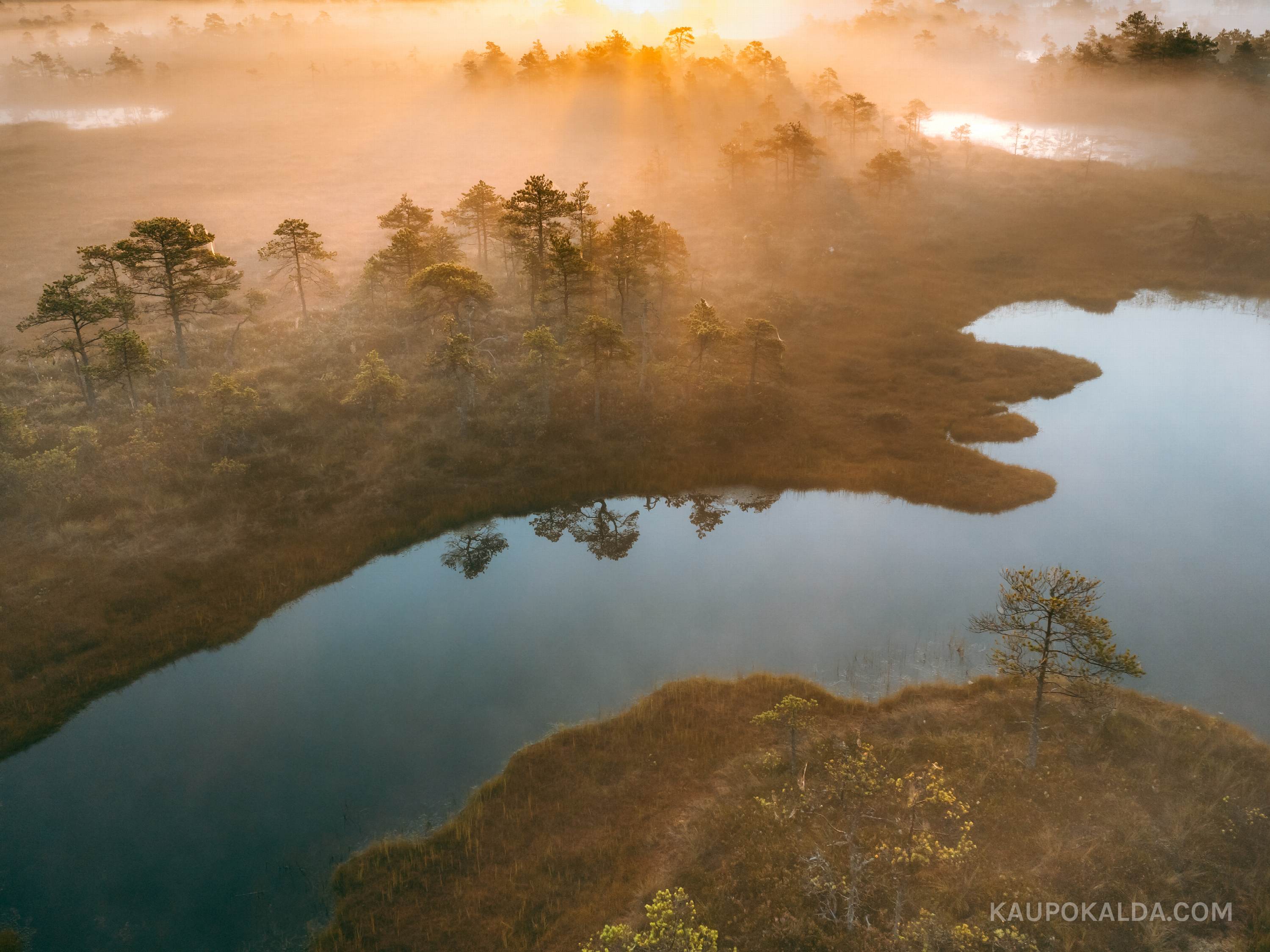 Kakerdaja raba päikesetõus