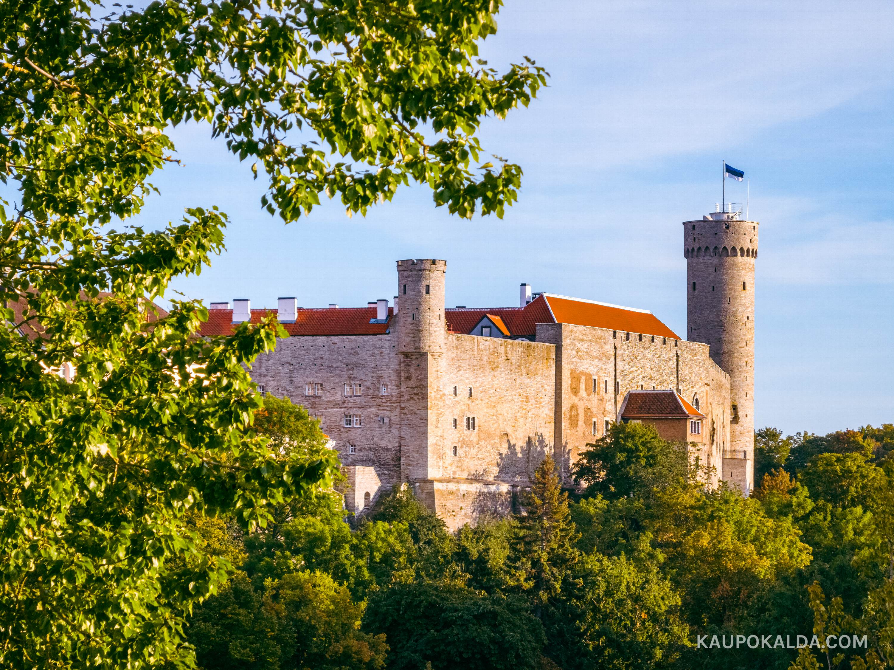 Toompea loss