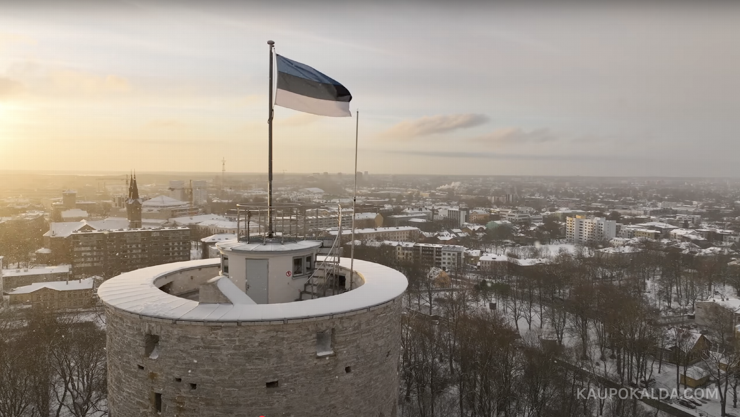 Sinimustvalge videod