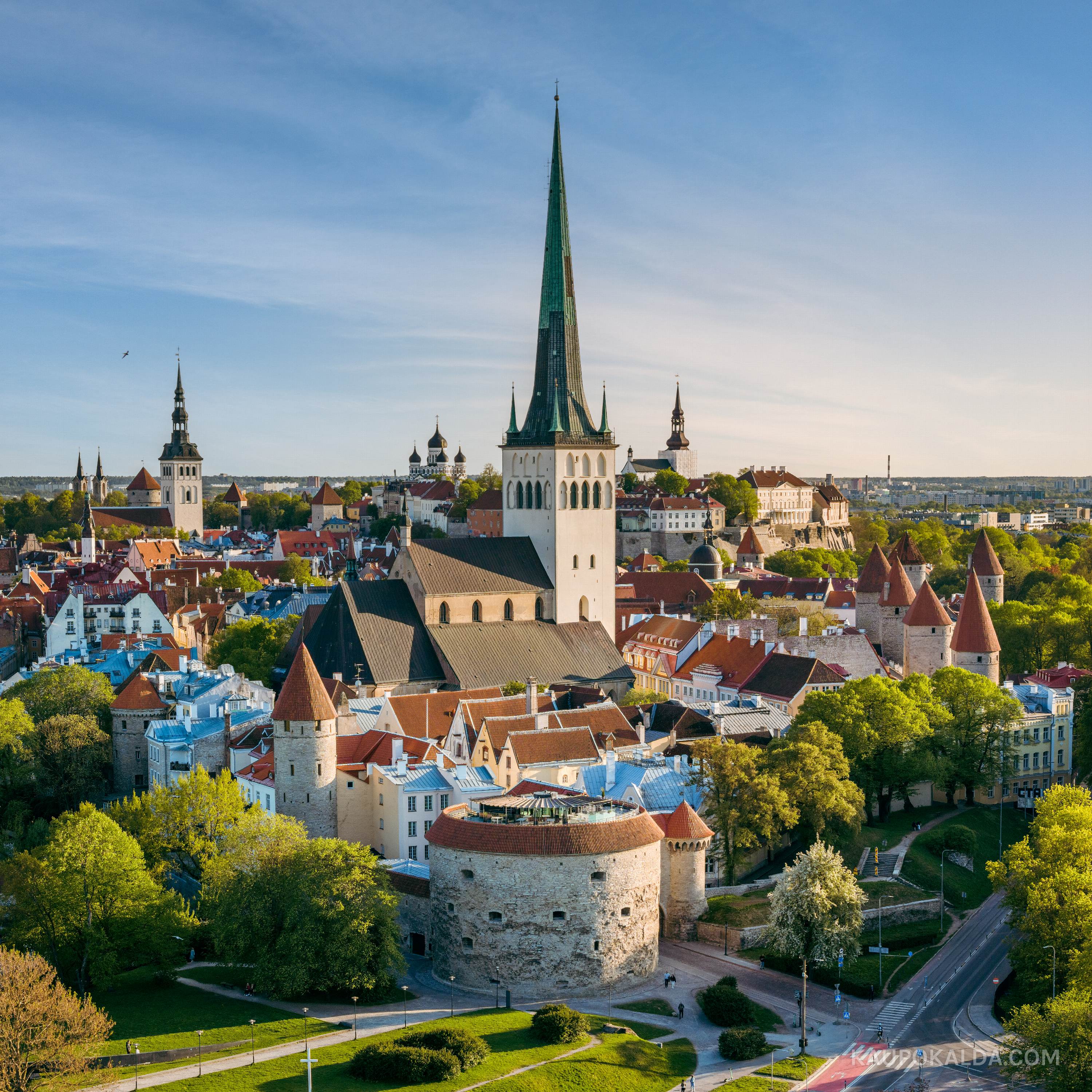 Tornide linn ja Oleviste kirik