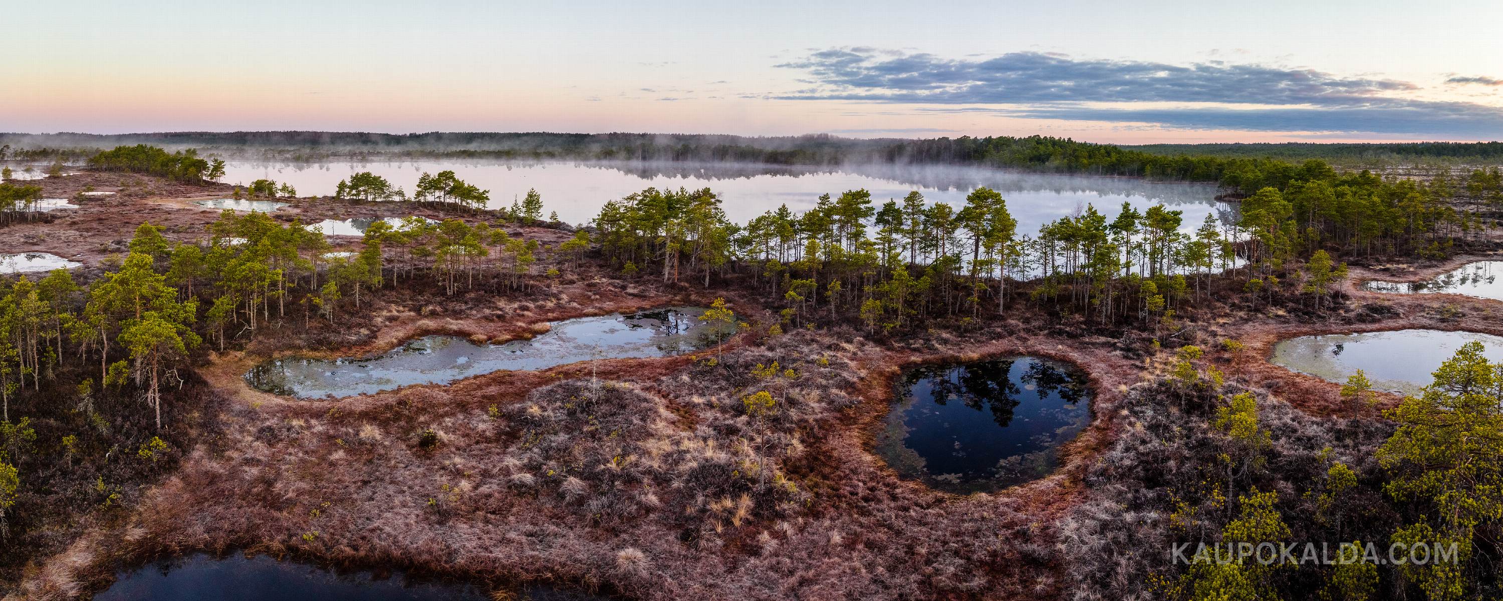 Kevadine Kakerdaja raba