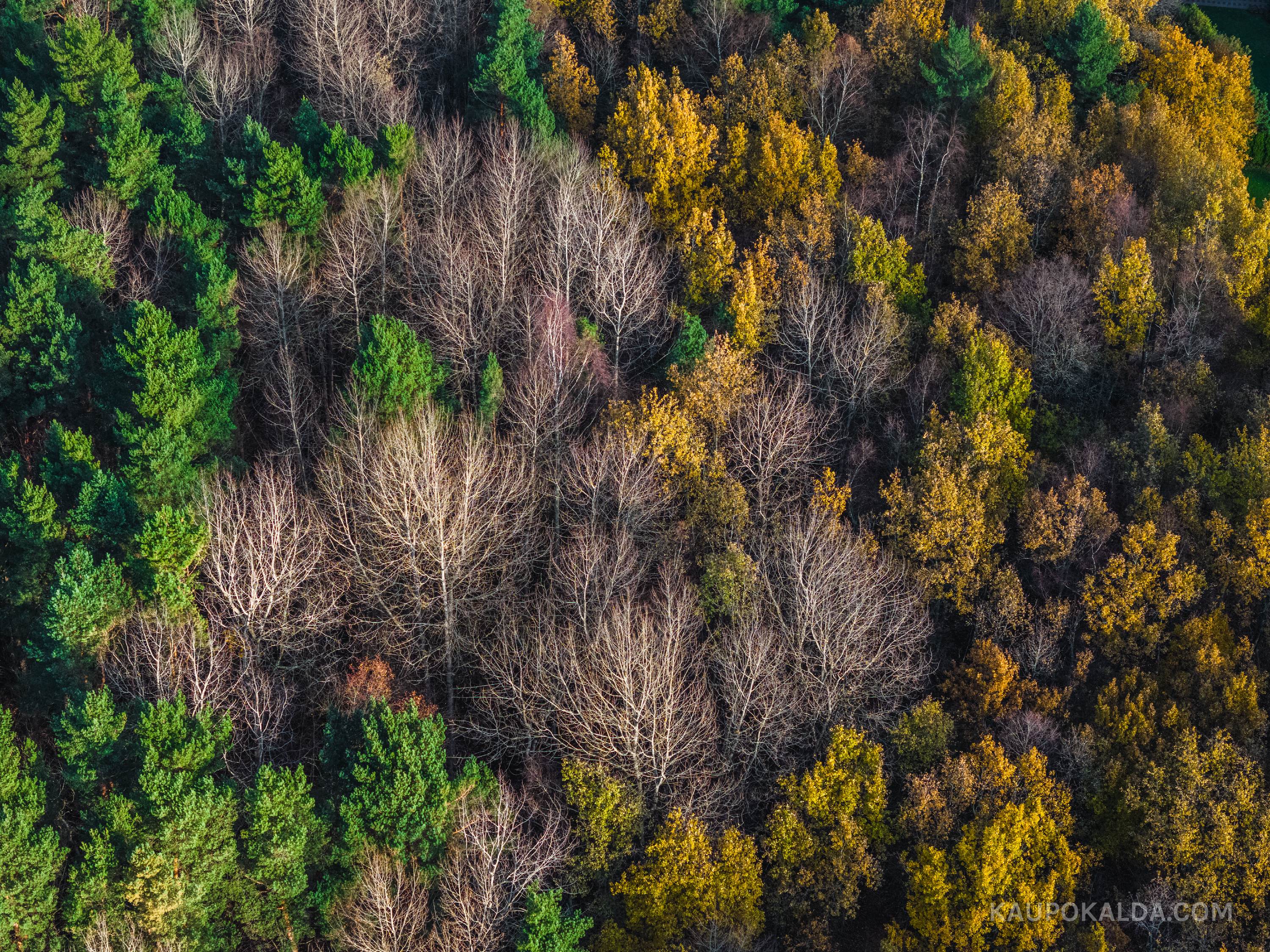 Sooja sügise värvid