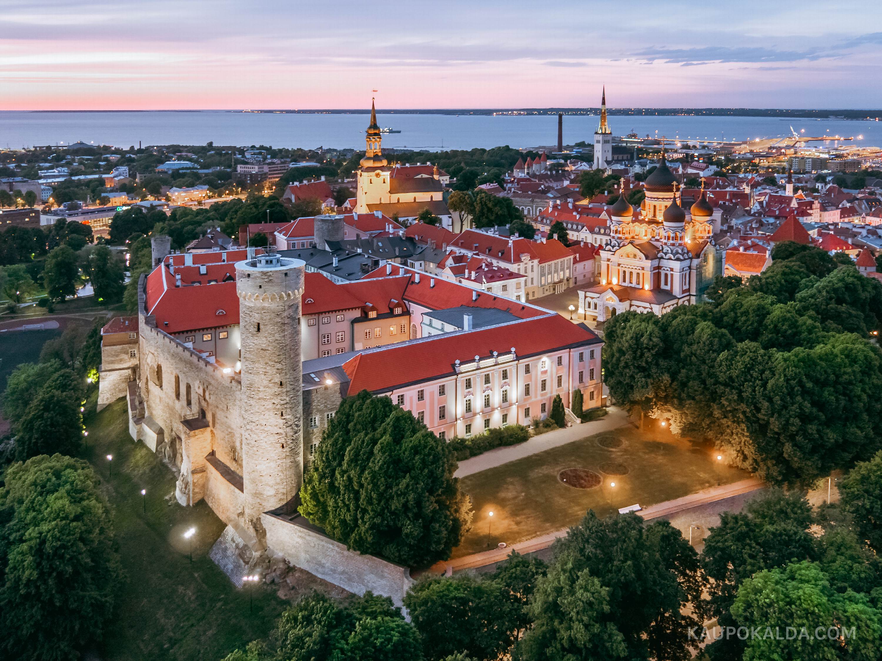 Toompea loss