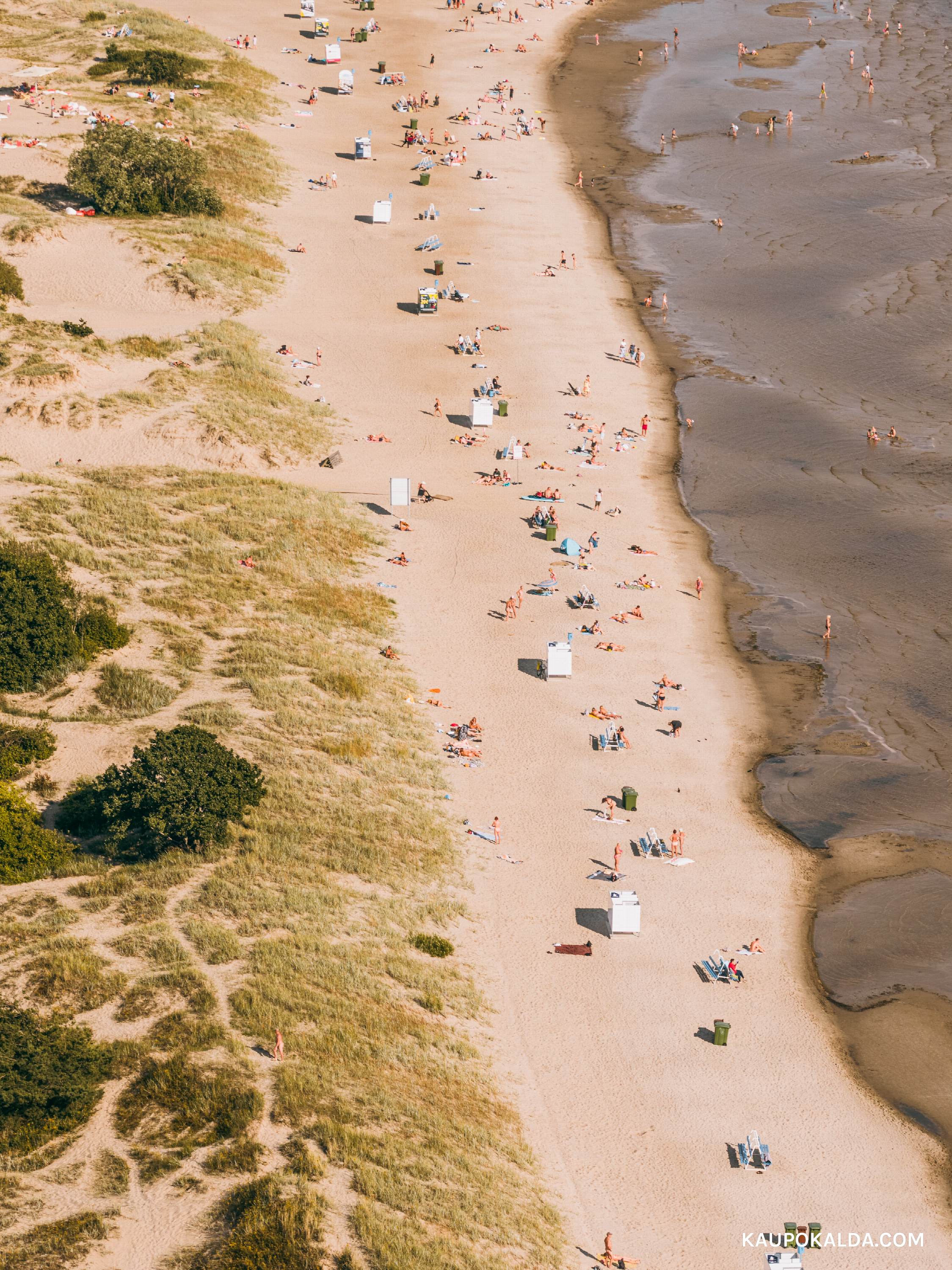 Pärnu rannajoon