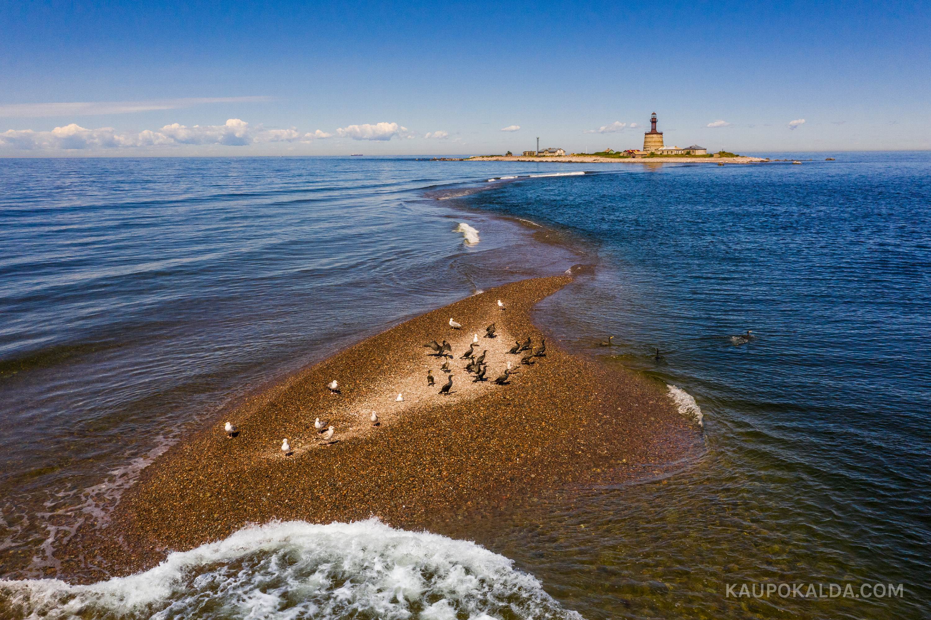 Kajakad, kormoranid ja Keri saar