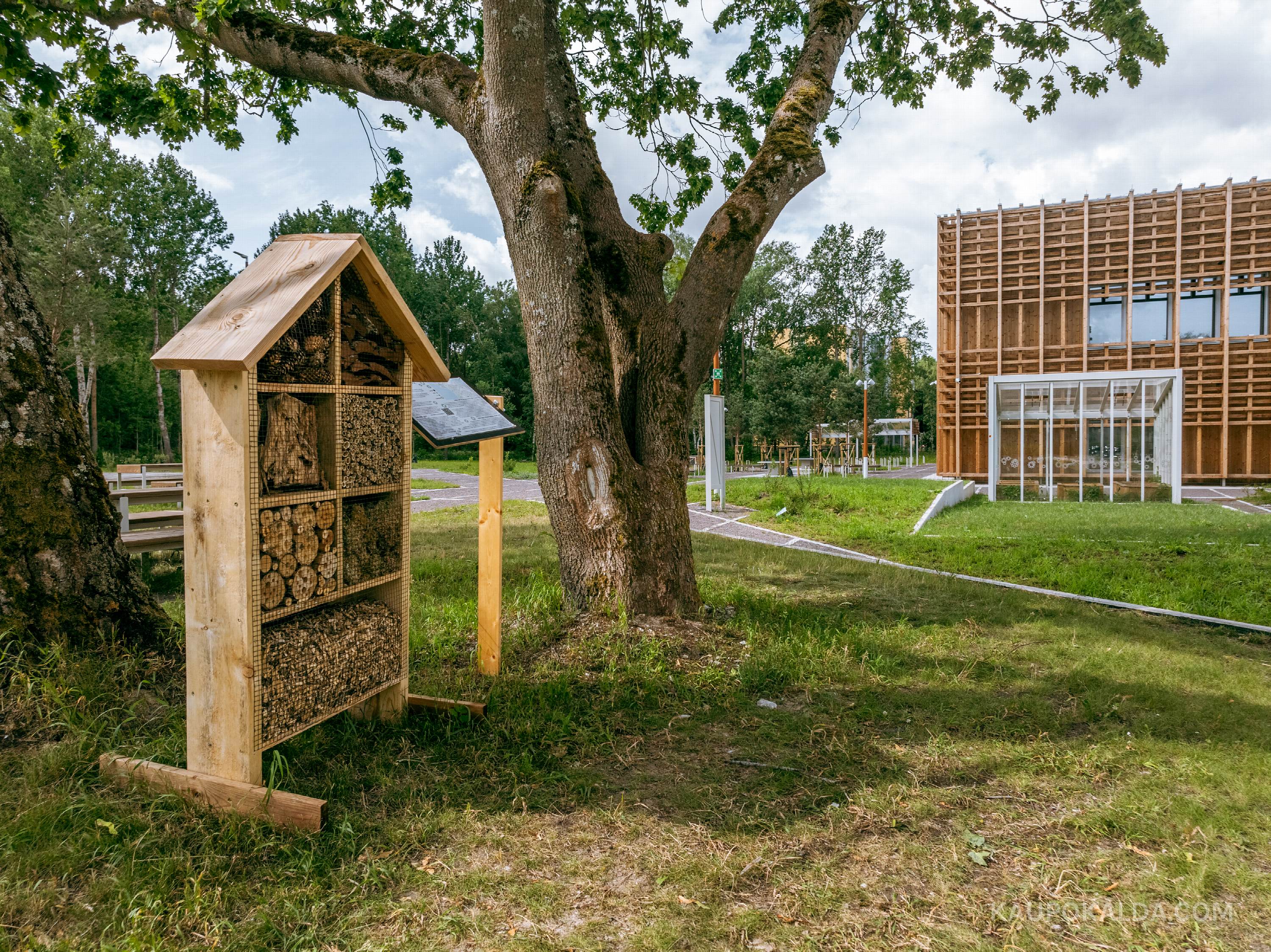 Pelgulinna Riigigümnaasium