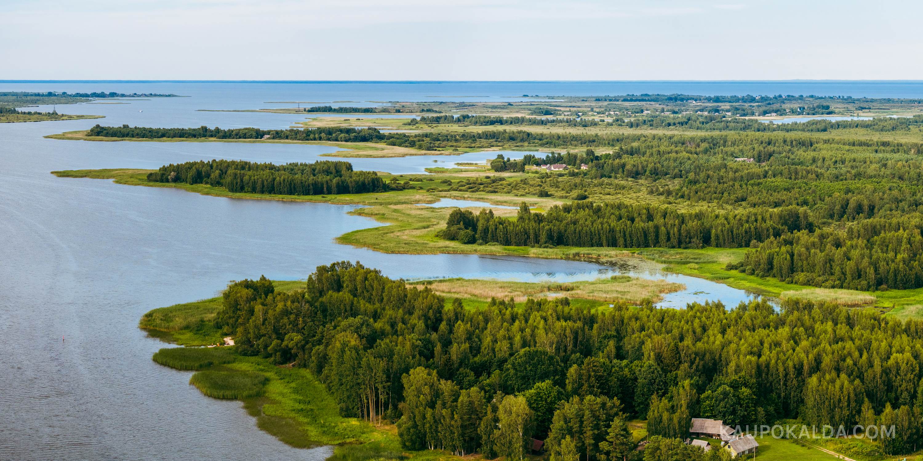 Värska laht
