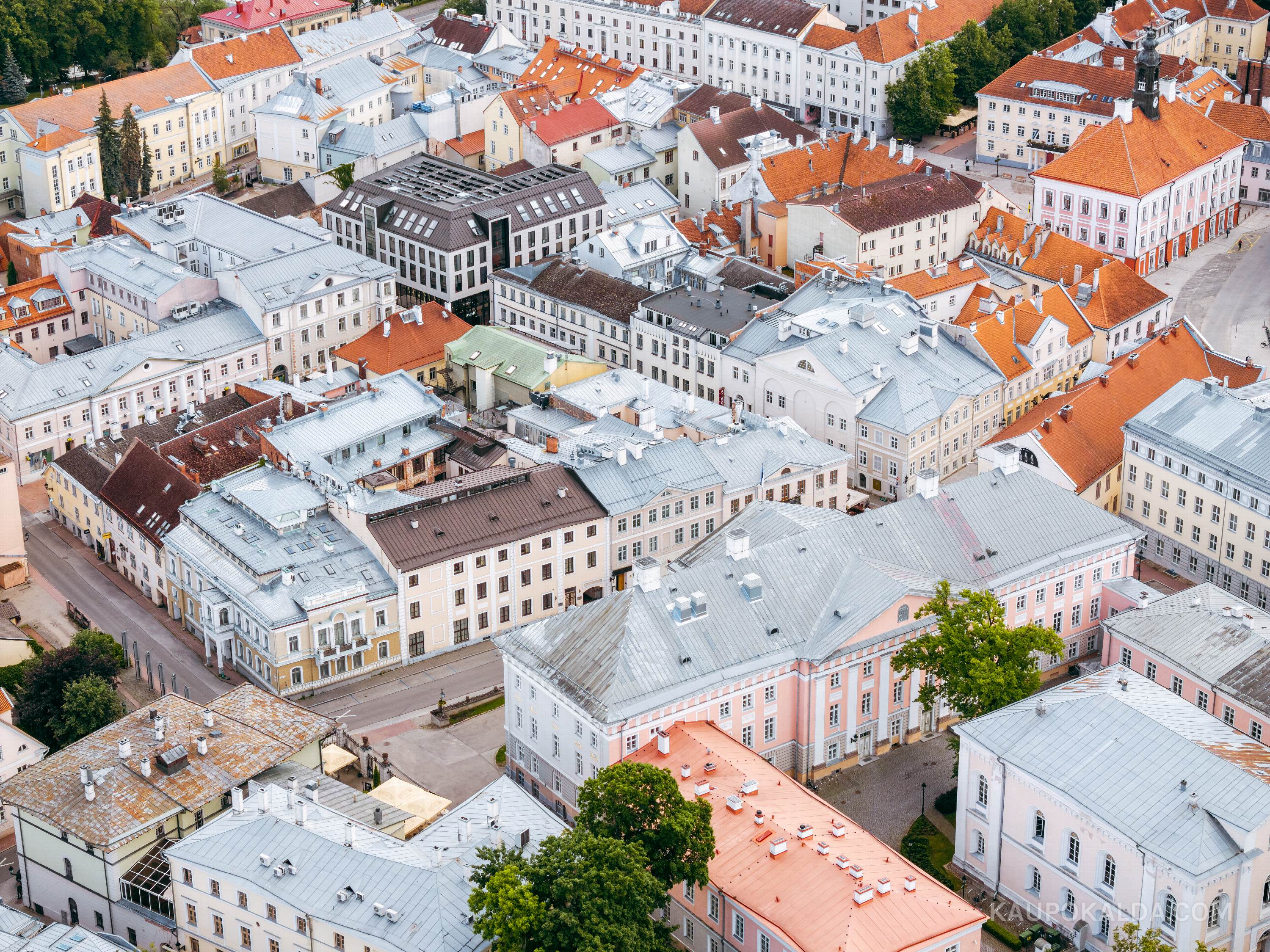 Tartu Ülikool ja naabrid