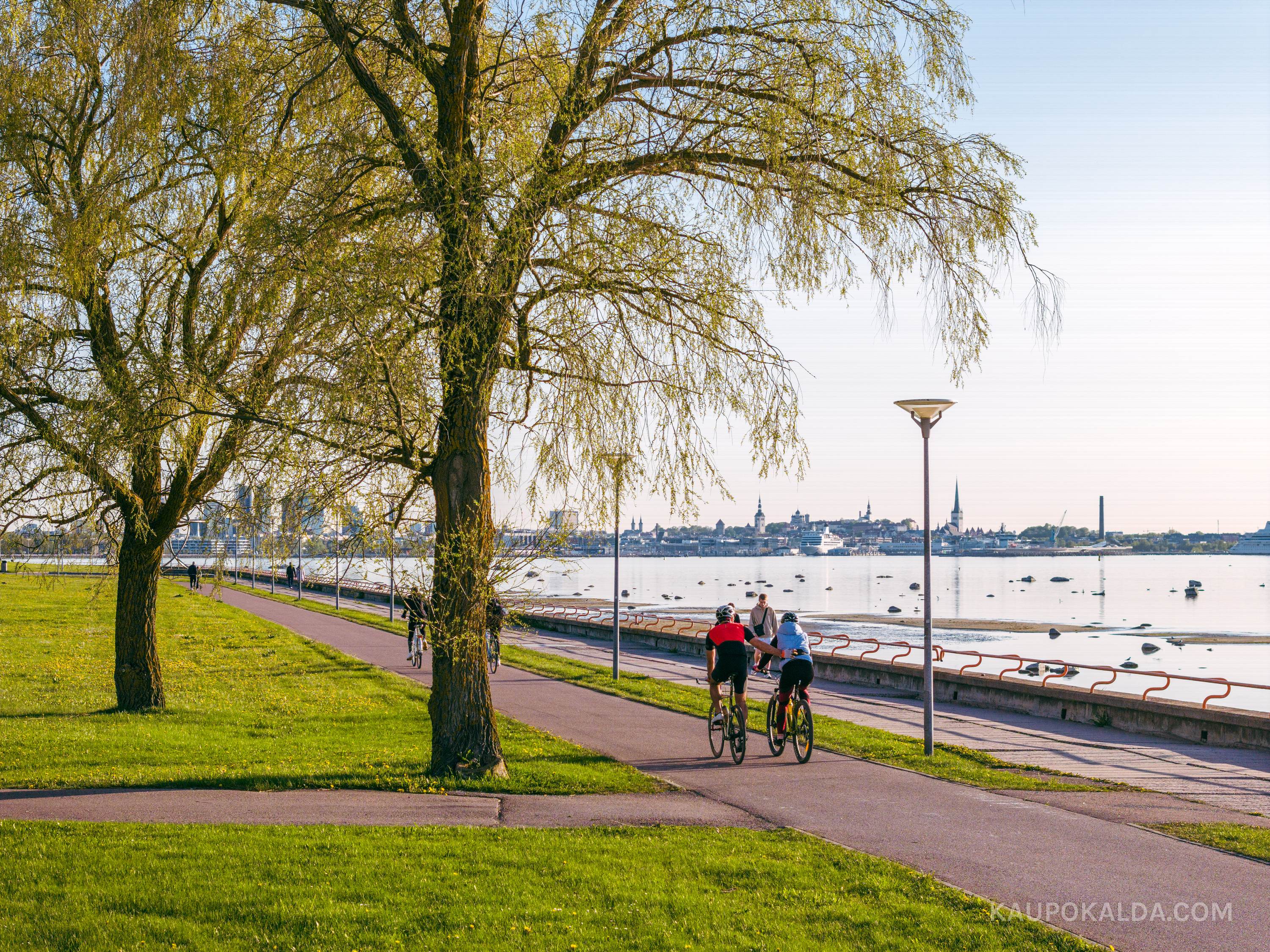 Suveõhtu Pirita tee promenaadil