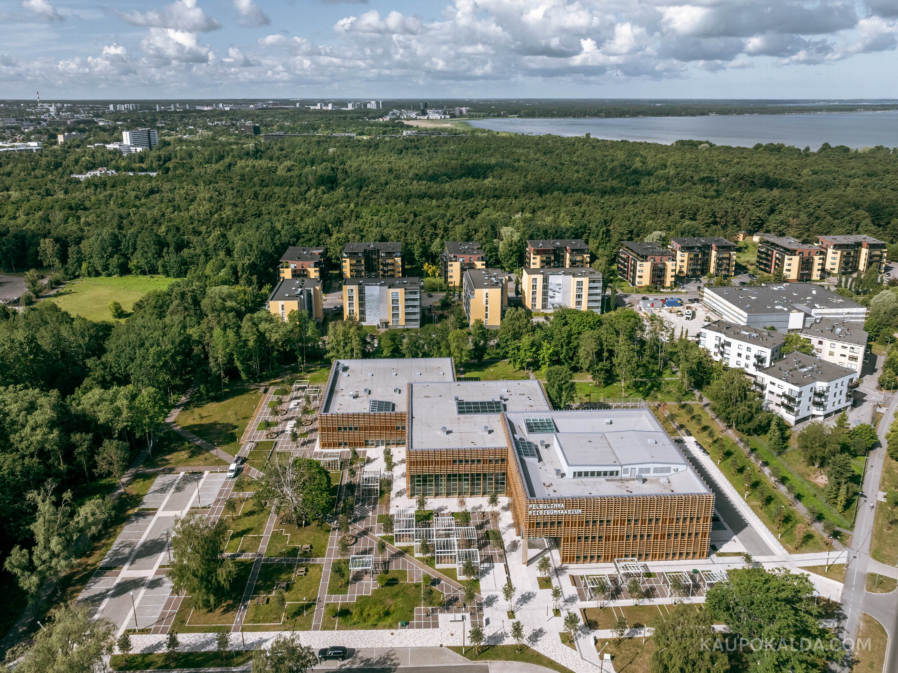 Pelgulinna Riigigümnaasium